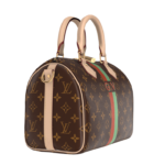 Speedy Bandoulière 25 Mon Monogram